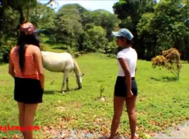 घोड़ा वाला वीडियो नीले चित्र chodi बर mein घोड़ा का भूमि ghusa जना chahiewala x ** bf के पूर्ण hd हो सकता है