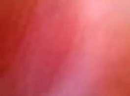 टॉपलेस गोरा किशोर उसके रूममेट एमएमएफ त्रिगुट द्वारा टक्कर लगी