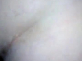 गोरा बेब सफेद सोफे पर नग्न हो रहा है।